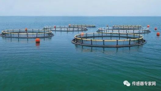 水體環境智能傳感器