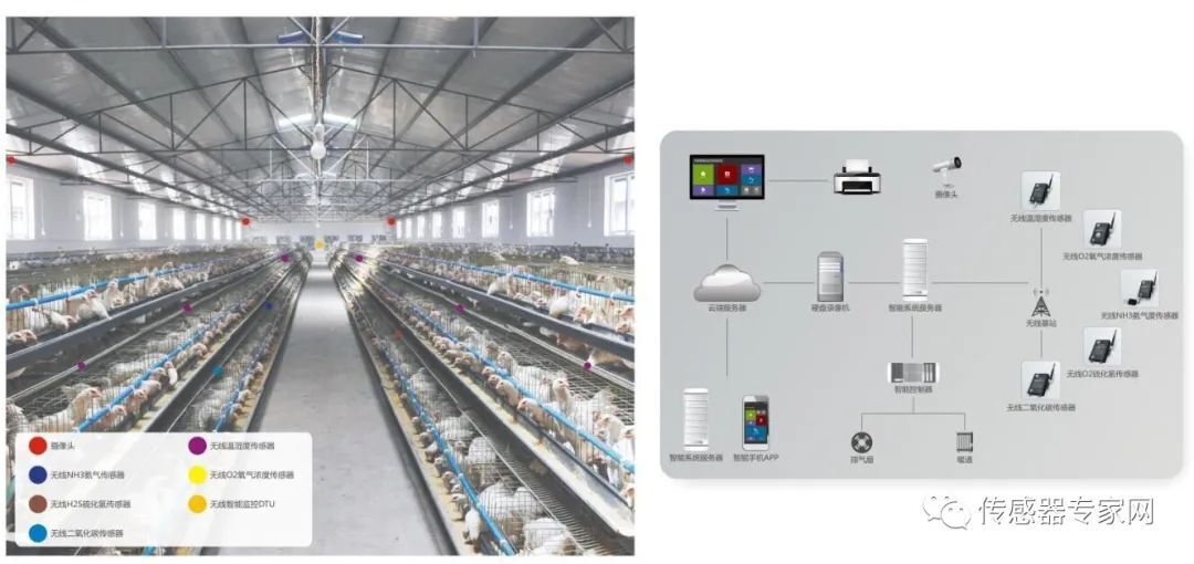 畜禽環境傳感器